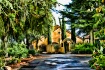 Andretti Winery