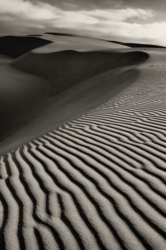 Oceano Dunes