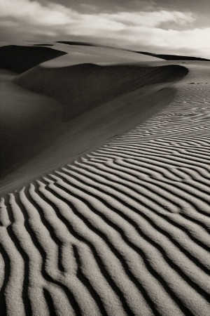 Oceano Dunes