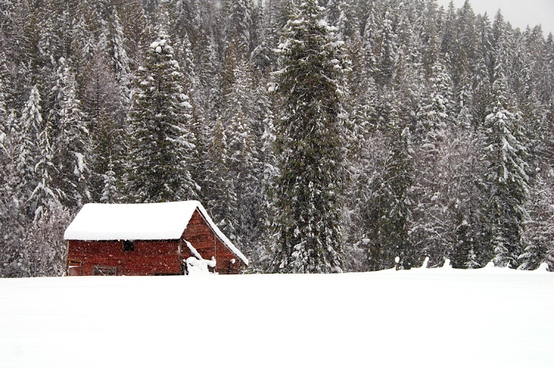 White Christmas 2008