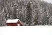 White Christmas 2...