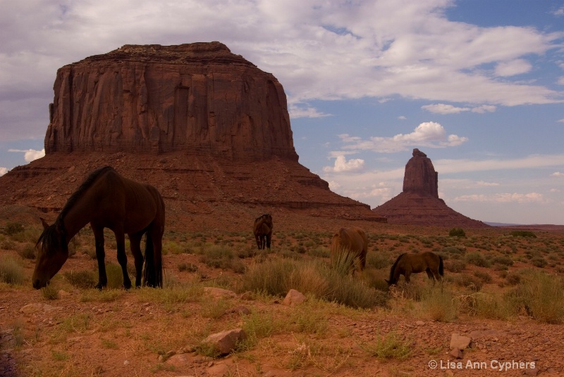 Wild ponys @ Monument Valley, Az - ID: 7655098 © Lisa Ann Cyphers