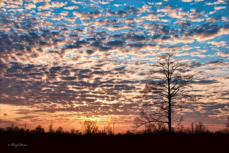 Mississippi  Sunset