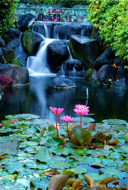 Lotus and Waterfall in Bali - Selective Motion - ID: 7662907 © Kitty R. Kono