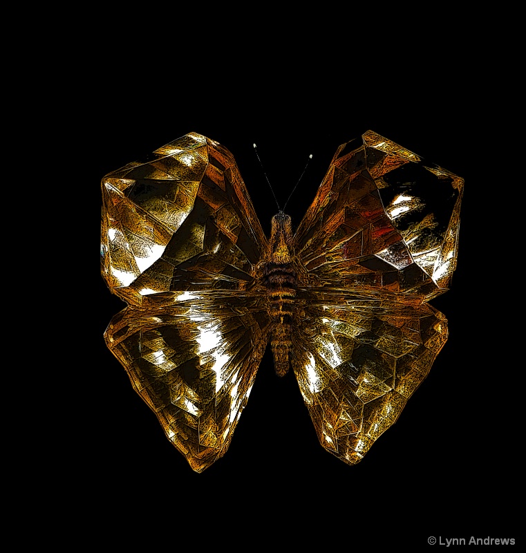 My Jeweled Butterfly II - ID: 7664506 © Lynn Andrews
