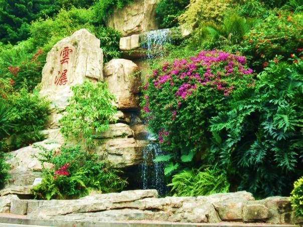 Waterfall & flowers