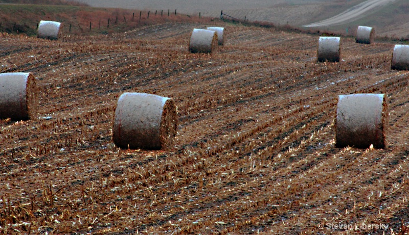 harvest time