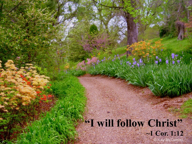I will follow Christ