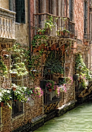 Venice Flower Boxes