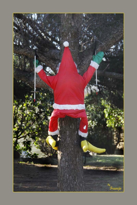 Santa Up A Tree