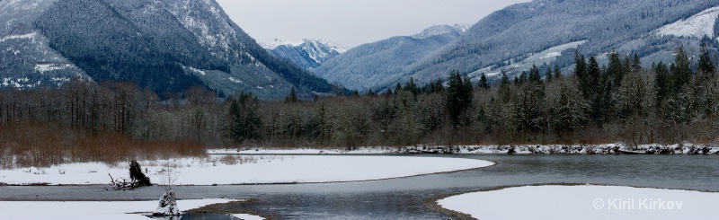 Skagit River Valley-The Home Of The Eagles - ID: 7703972 © Kiril Kirkov