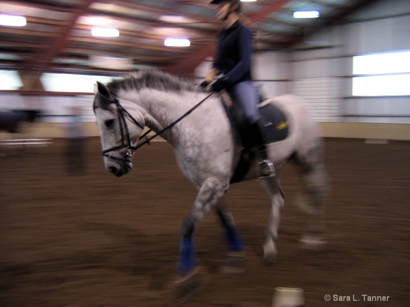 Em and Remy Trot 2