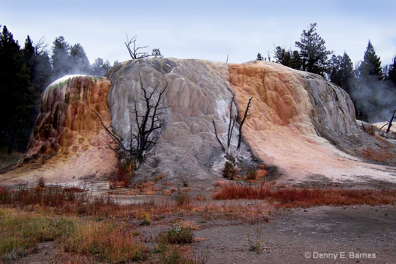 Orange Spring Mound, Yellowstone - ID: 7711777 © Denny E. Barnes