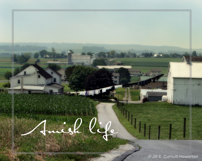 The Amish Life