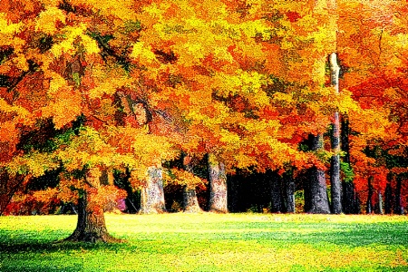 Autumn Splendor