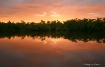 Morning Serenity
