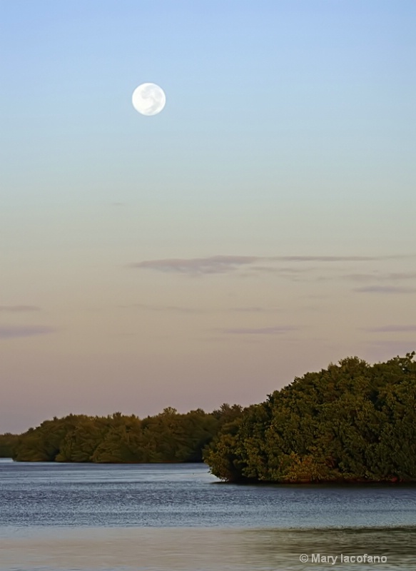 Moonset over the Mangroves
