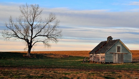 Little Barn On The Prairie