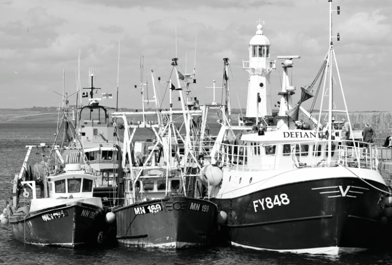 Trawlers at Mevagissey