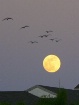 Moon on January 1...