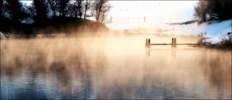 Early Morning Fog on the Pond