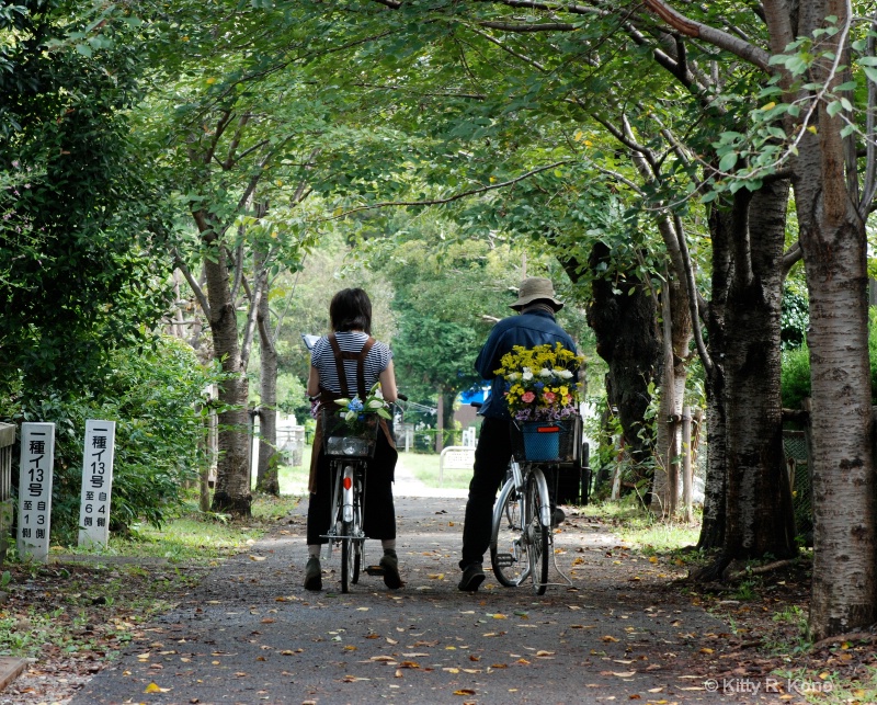Delivering Flowers in Aoyama Cemetery - ID: 7726620 © Kitty R. Kono