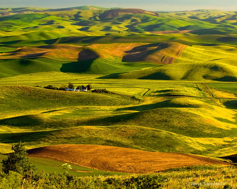 Colors and Shapes of the Palouse