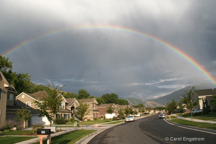 Rainbow On My Street 