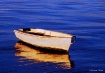 Solitary Reflecti...