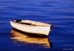 Solitary Reflecti...