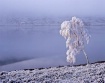 Edge of The Freez...