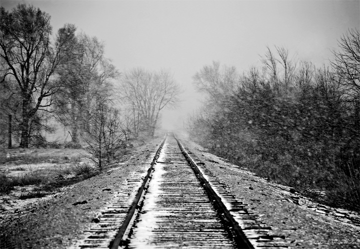 Tracks To Nowhere.....