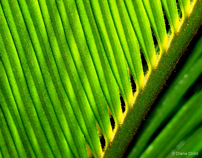 Blades of Green