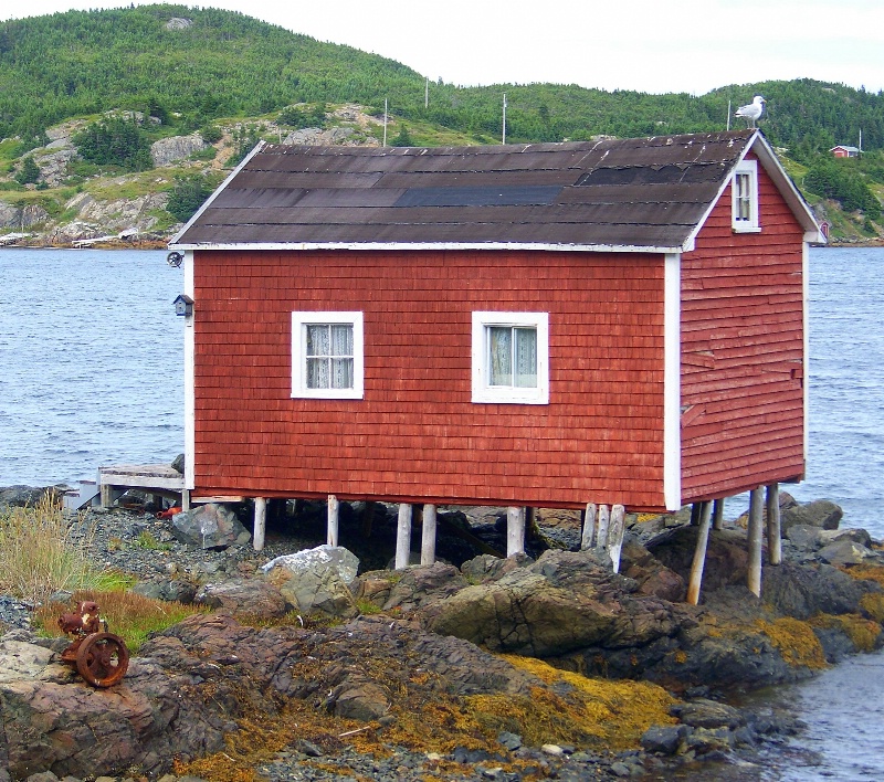 Fishing Shed at Herring Neck NL