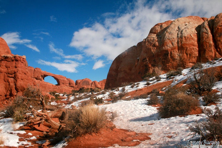 Winter, Skyline Arch