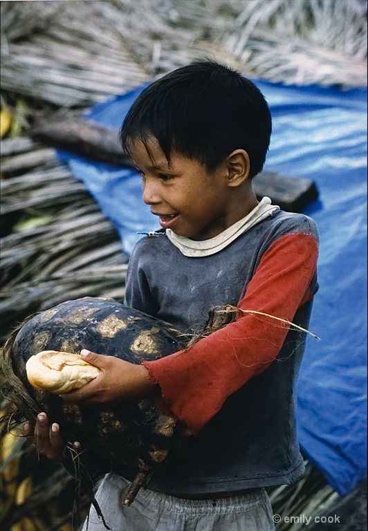 Bread for Turtle Exchange Peru