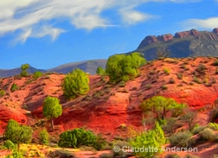 Junipers in Red Rock Country