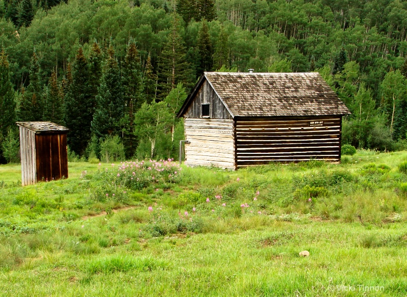 Cabin and Outhouse
