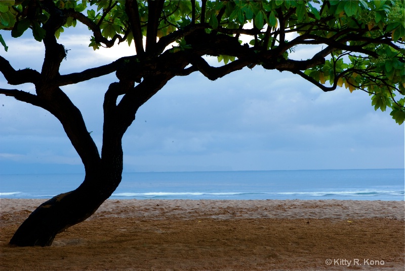 Beach at Bali - ID: 7759363 © Kitty R. Kono