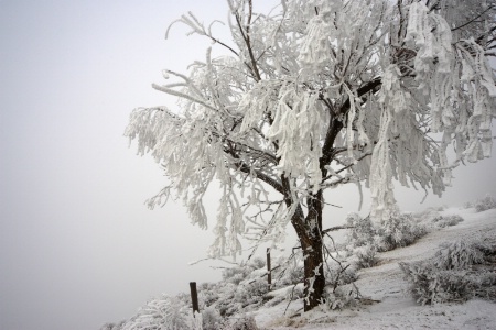 Ice Tomb