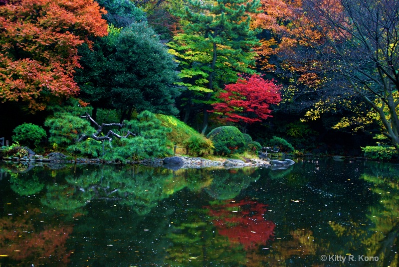 Oh the Color - Arisugawa Fall - ID: 7761210 © Kitty R. Kono