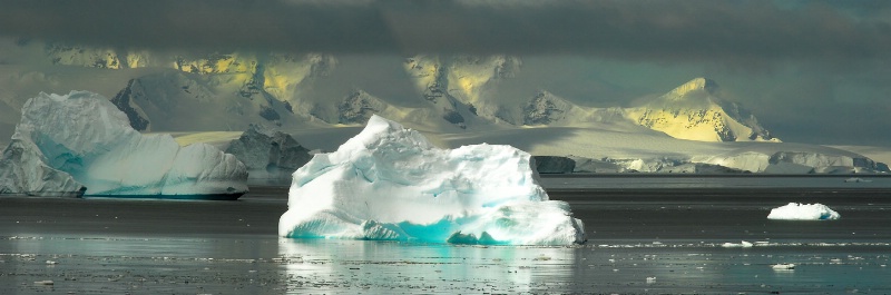 Antarctic Natures Art - ID: 7761423 © Viveca Venegas