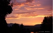 Arise & Shine