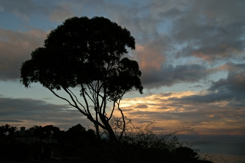 Silhouette Sunrise ~ Palos Verdes, CA ~ 2008