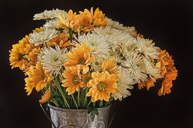 A Bucket of Mums