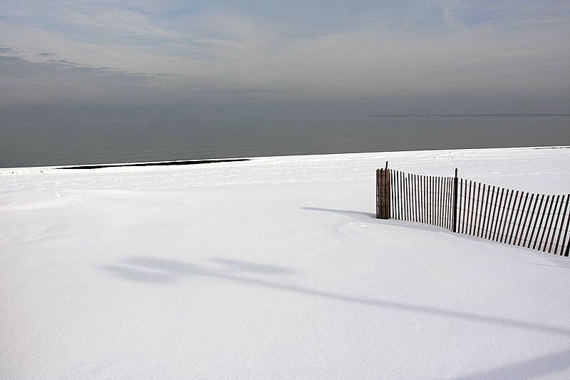 Winter White - ID: 7766178 © Agnes Fegan