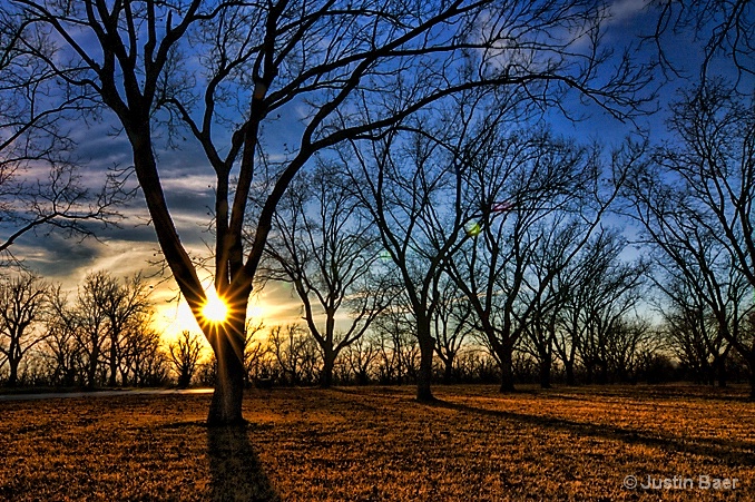 Pecan Plantation four