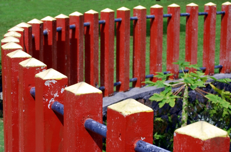 Red Fence