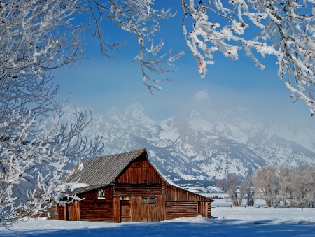 Teton Winter