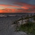 © Bob Peterson PhotoID # 7782317: time to walk